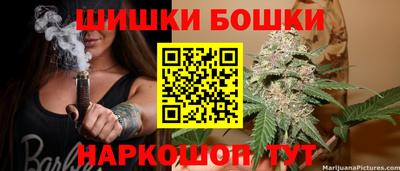 индика Новокубанск